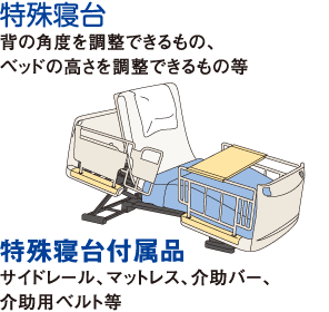 特殊寝台